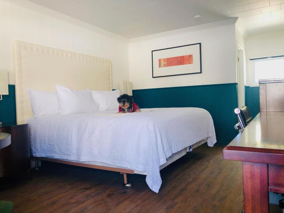 The Voy Motel Schreiber Kültér fotó